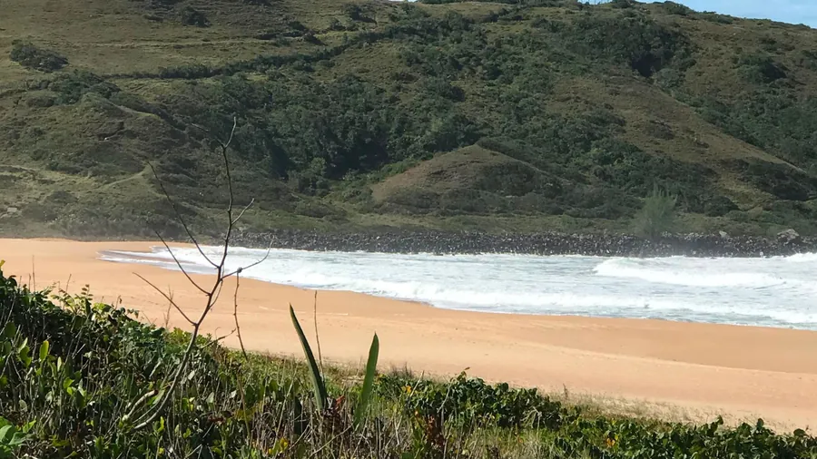 Praia de areia clara cercada de morro verde