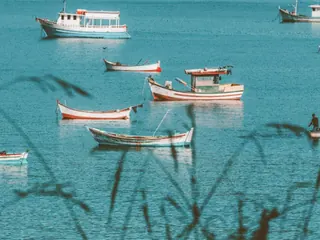 Barcos ancorados na baía de água verde