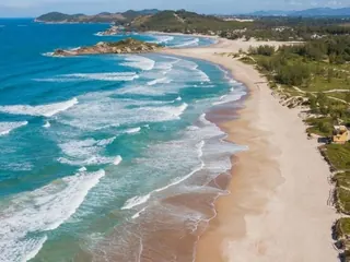 Praia de areia clara vista do alto, com o mar batendo